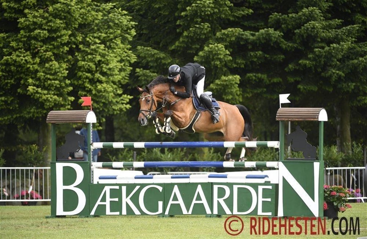 Bækgaarden Aflyser Pony Og Horse Festival - Ridehesten.com