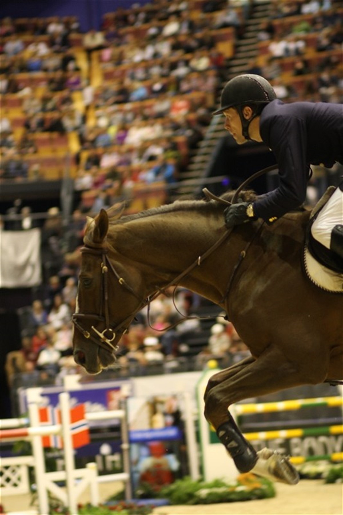 TV og WebTV fra Olympia Horse Show