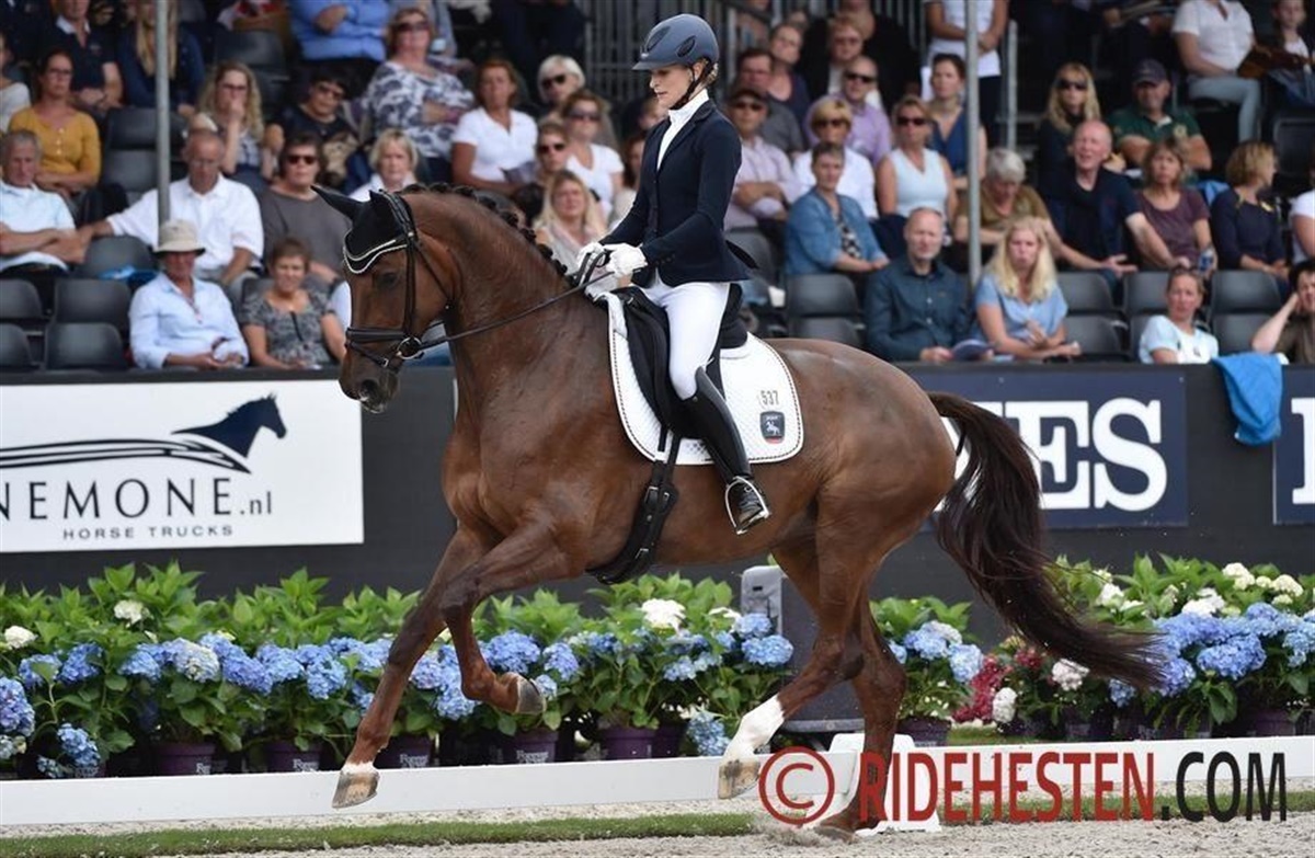 Victoria s Secret new World Champion Ridehesten