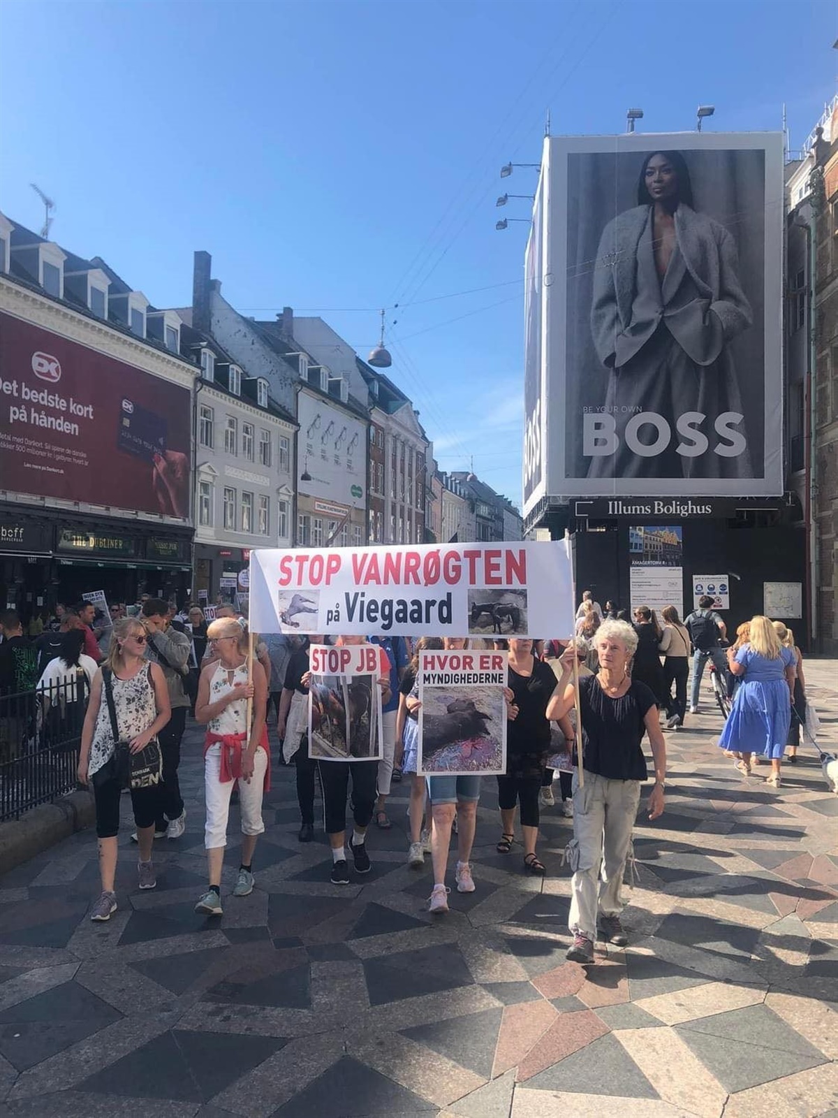 Opråb Til Myndighederne Ved Demonstration - Ridehesten.com