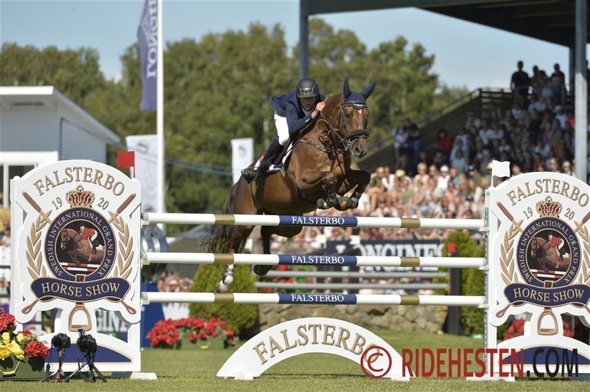 Søren et mulehår fra styrt i derby - Ridehesten.com