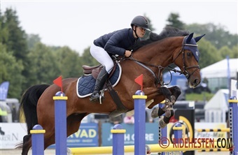 Danskere i top i unghestefinalerne