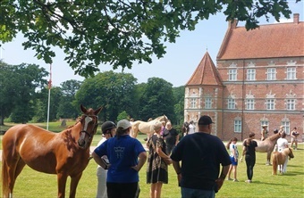 Brahetrolleborg formede dansk ridehesteavl (video)