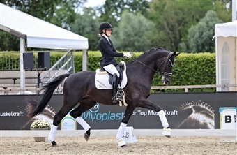 Hannu Haakon til Helgstrand Dressage