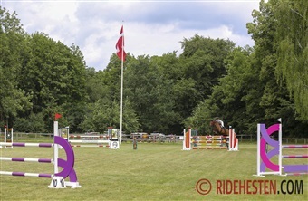 Sport Event Denmark st&oslash;tter EM for veteraner