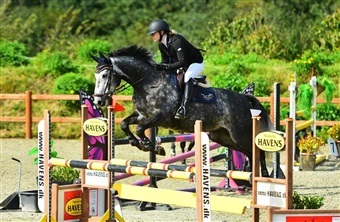 – Han er en hest, der skal ses og pr&oslash;ves