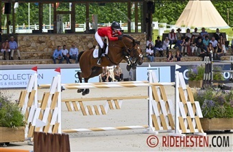 Zascha topplaceret i Gorla Minore