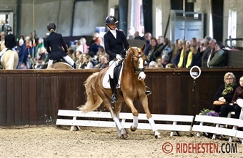 Jubil&aelig;um, kvalitet og ponyer i fokus hos F&oslash;lle Strandgaard