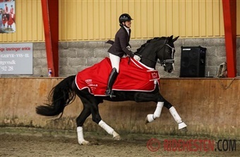 Jazzmaster dansede sig til sejr