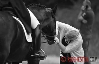 TD'ere er afg&oslash;rende for at sikre hestevelf&aelig;rd