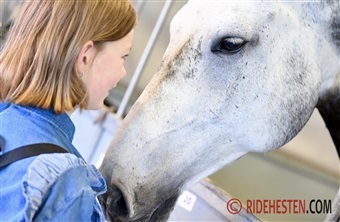 Forskning bek&aelig;mper tavshedskultur