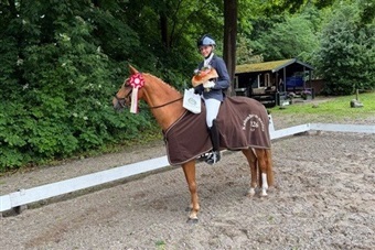 Tre KBH-mestre for pony fundet