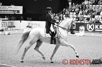– 10 ting jeg hader ved top-ridesport