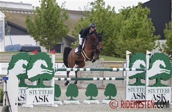 Shannon har solgt hest til canadisk toprytter