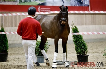 S&oslash;nner af succesfulde m&oslash;dre