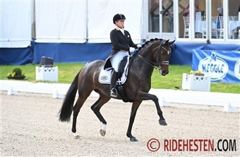 Werth i sejr med dansk hest