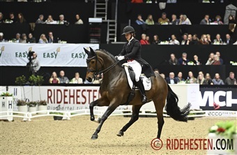 Dressurfelt i absolut s&aelig;rklasse