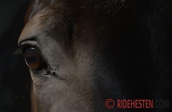 Har du t&aelig;nkt p&aring; fremtiden?