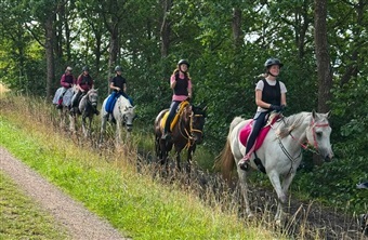 Vellykket distanceridelejr i Hedeland