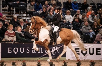 Icehorse festival: Stjerner f&oslash;des og mestre m&oslash;des