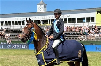 5-&aring;rs DV-hingst sprang sig til sejr