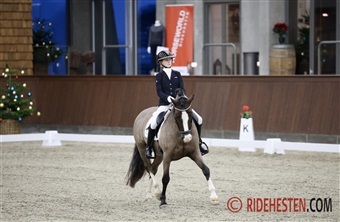 Nu er det tid til Horseworld Cup i Vejle