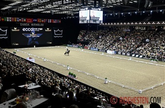 Hingstek&aring;ringen samlede 61.266 g&aelig;ster