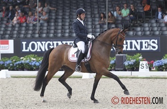 DV-hest i World Cup-finalen
