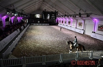 Her er for&aring;rets hingstefremvisninger