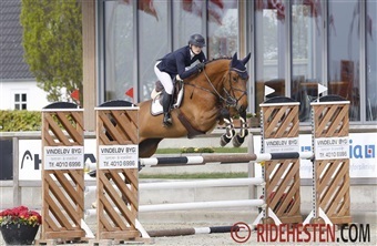 Flere DV-springheste klar til finalerne i Falsterbo