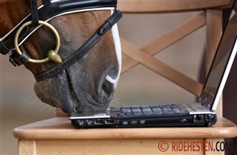 Er du DRF's nye sportskoordinator?