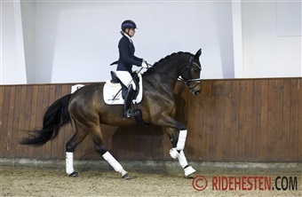 Medaljek&aring;rede hopper og vallakker til UHC