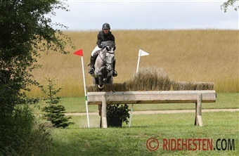 360-graders analyse af militarysporten