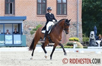 Husk ans&oslash;gningsfrist p&aring; elitehopper