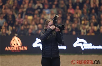 Ridehesten s&oslash;ger ny freelance fotograf