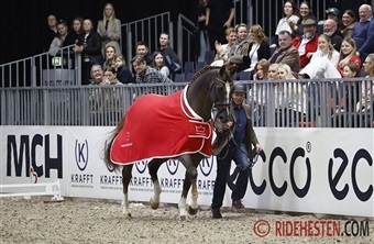 Todt un Prince Ask er &Aring;rets Hingst