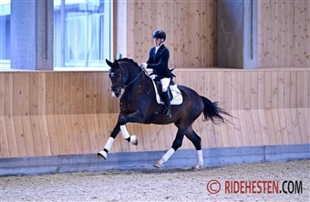 Ekstra egnethedstest i dressur