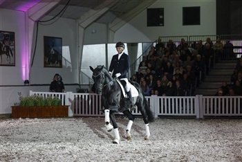 Åbent hus Helgstrand dressage