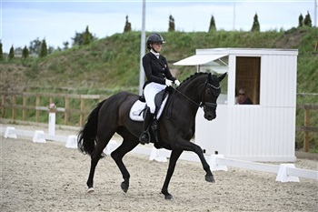 B-stævne med hold DM i dressur hest Kirstinelund Sportsrideklub