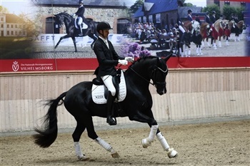 DV Egnethedstest region 5 dressur