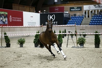 DV Forbesigtigelse Vilhelmsborg