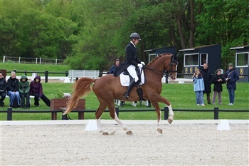 Aalborg Dressage Event