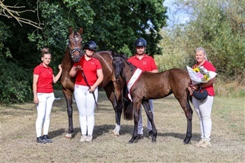  DV Følskue og 2-års region 1 Hillerød Sportsrideklub
