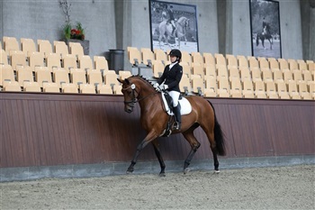 DV Sadelkåring dressur Region 4 Randbøl Dressage Academy