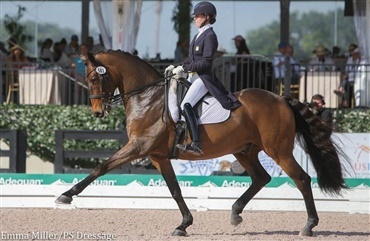 DV-hesten Lonoir vinder i USA 