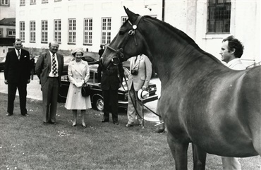 Elizabeth II havde en heste-passion