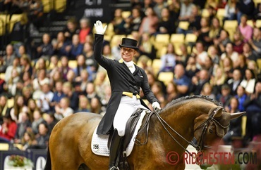 Werths Don Johnson er d&oslash;d