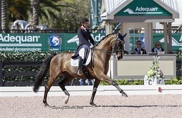 Endnu en dansk hest i Kür-sejr i Florida
