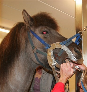 Endoskopi-assisteret tandpleje forbedrer traditionel "hestetandpleje i blinde". 