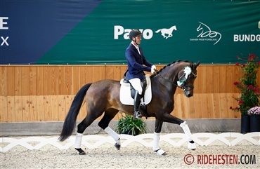 Alle billeder fra DRF's championatsfinaler er online